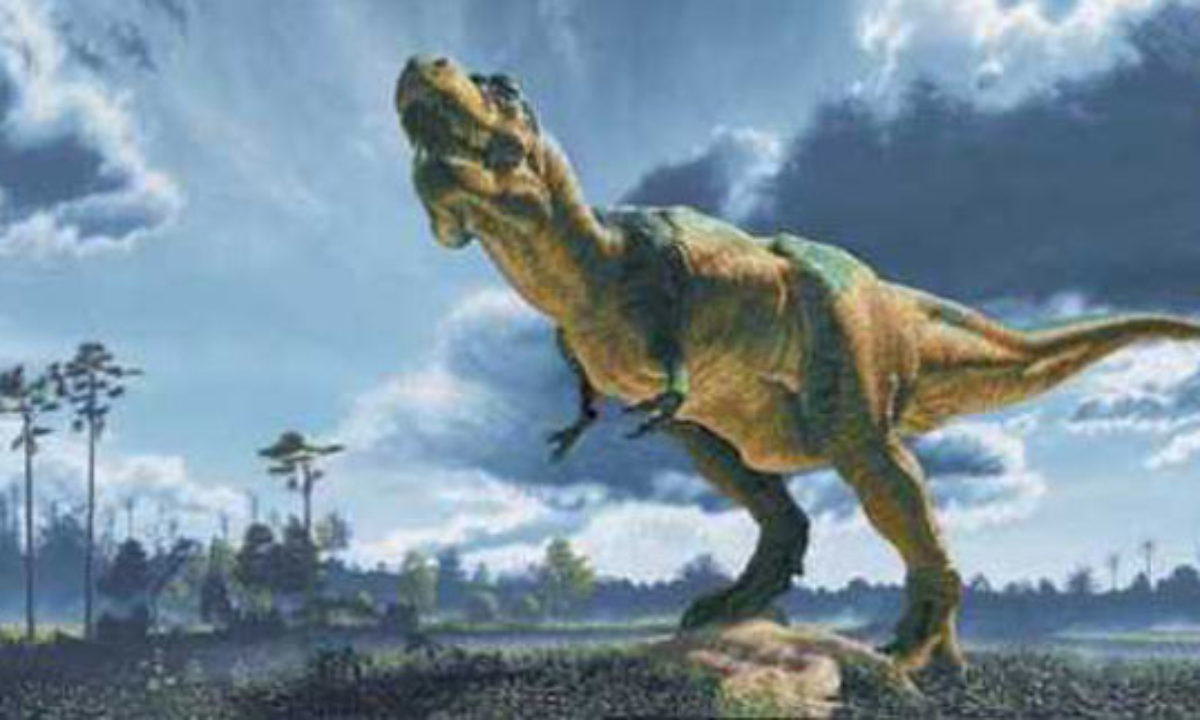 Detail Dinosaurus T Rex Asli Nomer 24