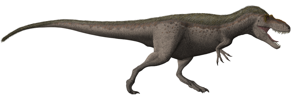 Detail Dinosaurus T Rex Asli Nomer 56