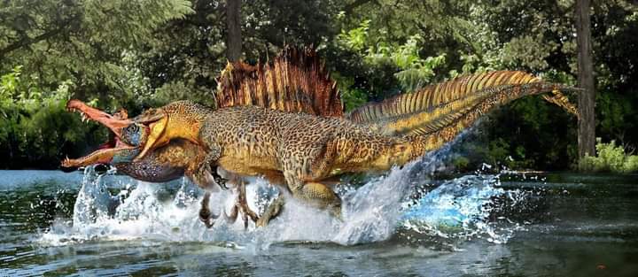 Detail Dinosaurus Vs Buaya Nomer 48