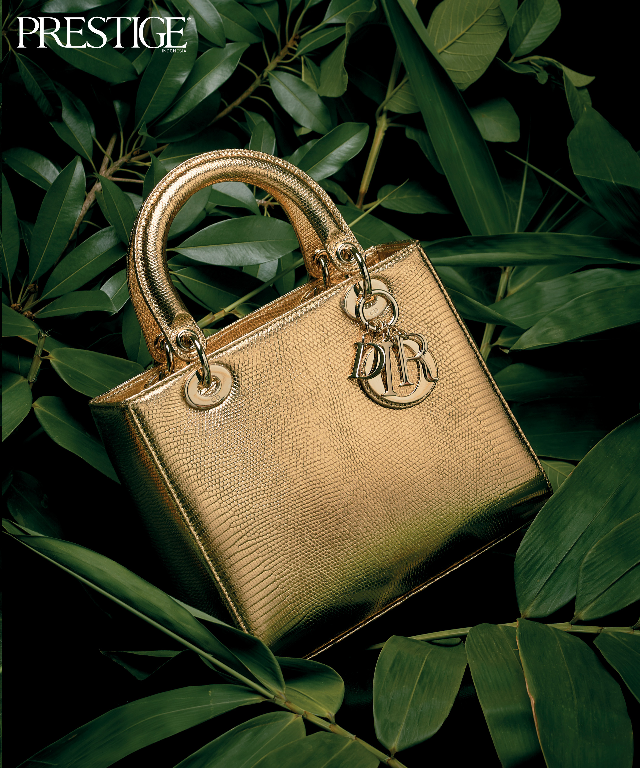 Detail Dior Lizard Bag Nomer 42