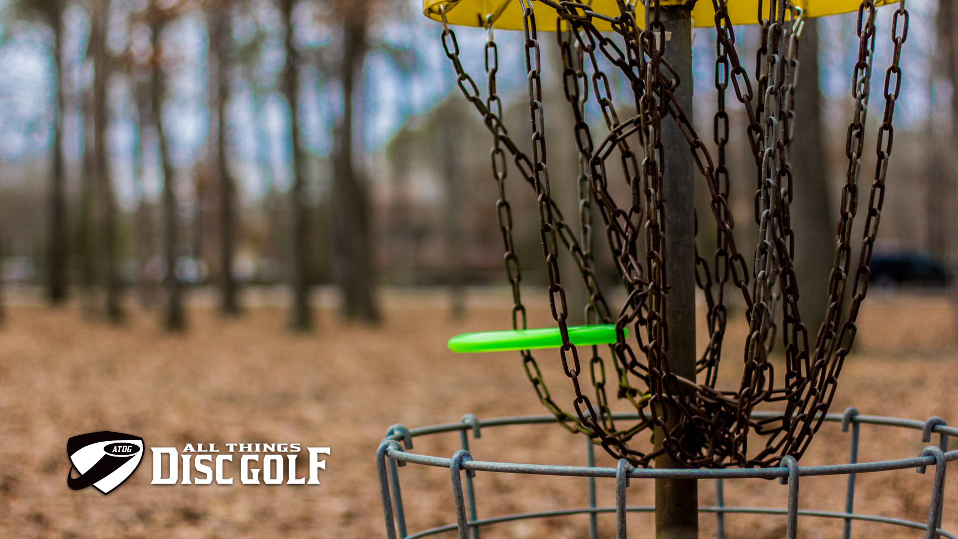 Detail Disc Golf Wallpaper Background Nomer 32