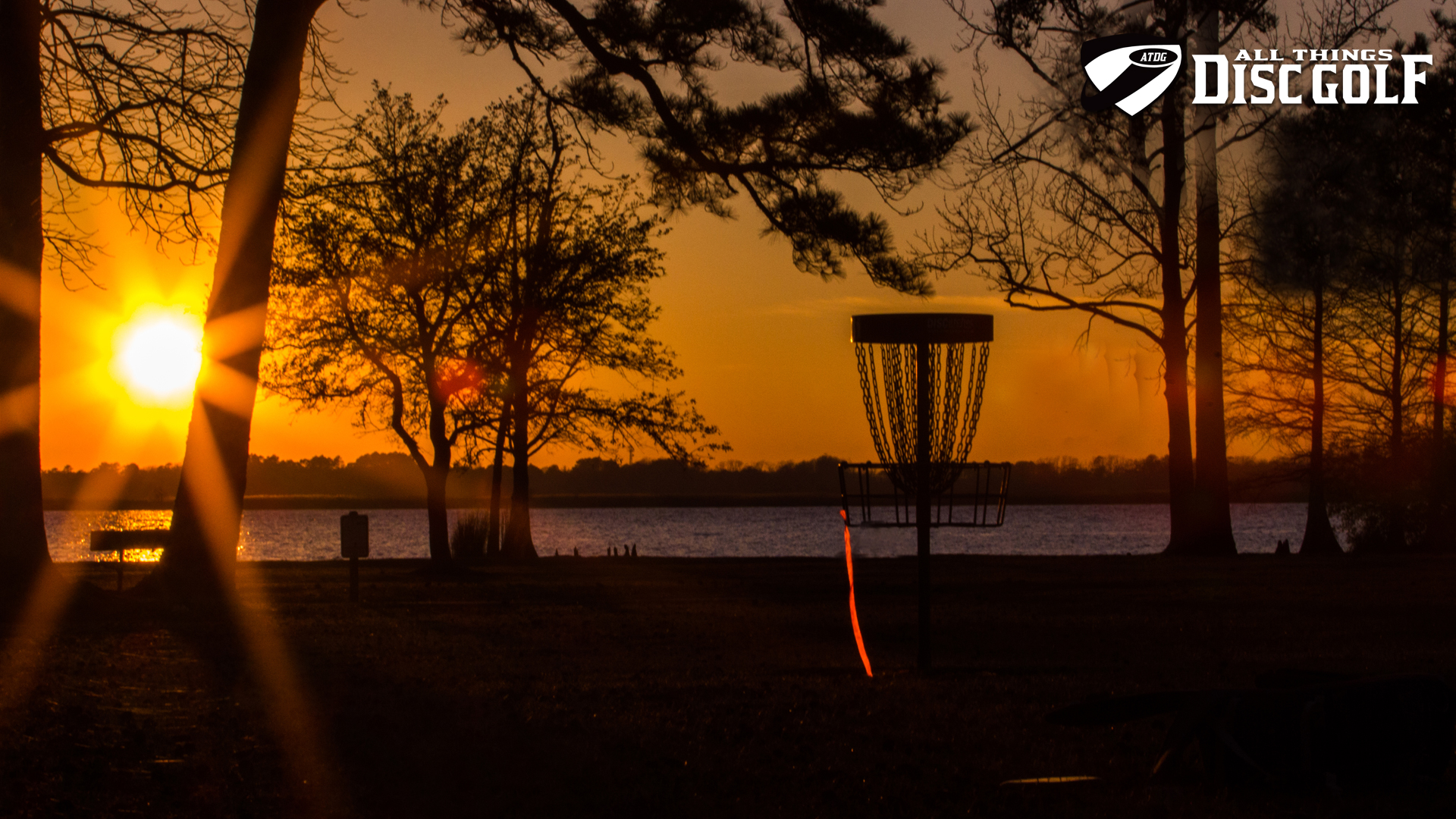 Detail Disc Golf Wallpaper Background Nomer 5