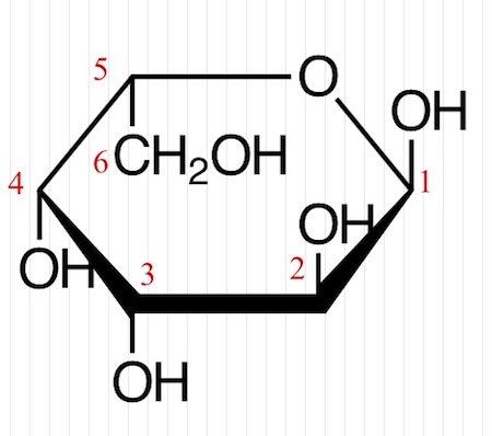 Detail Haworth Galactose Nomer 3