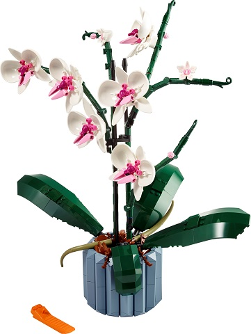 Detail Orchideen Box Nomer 3