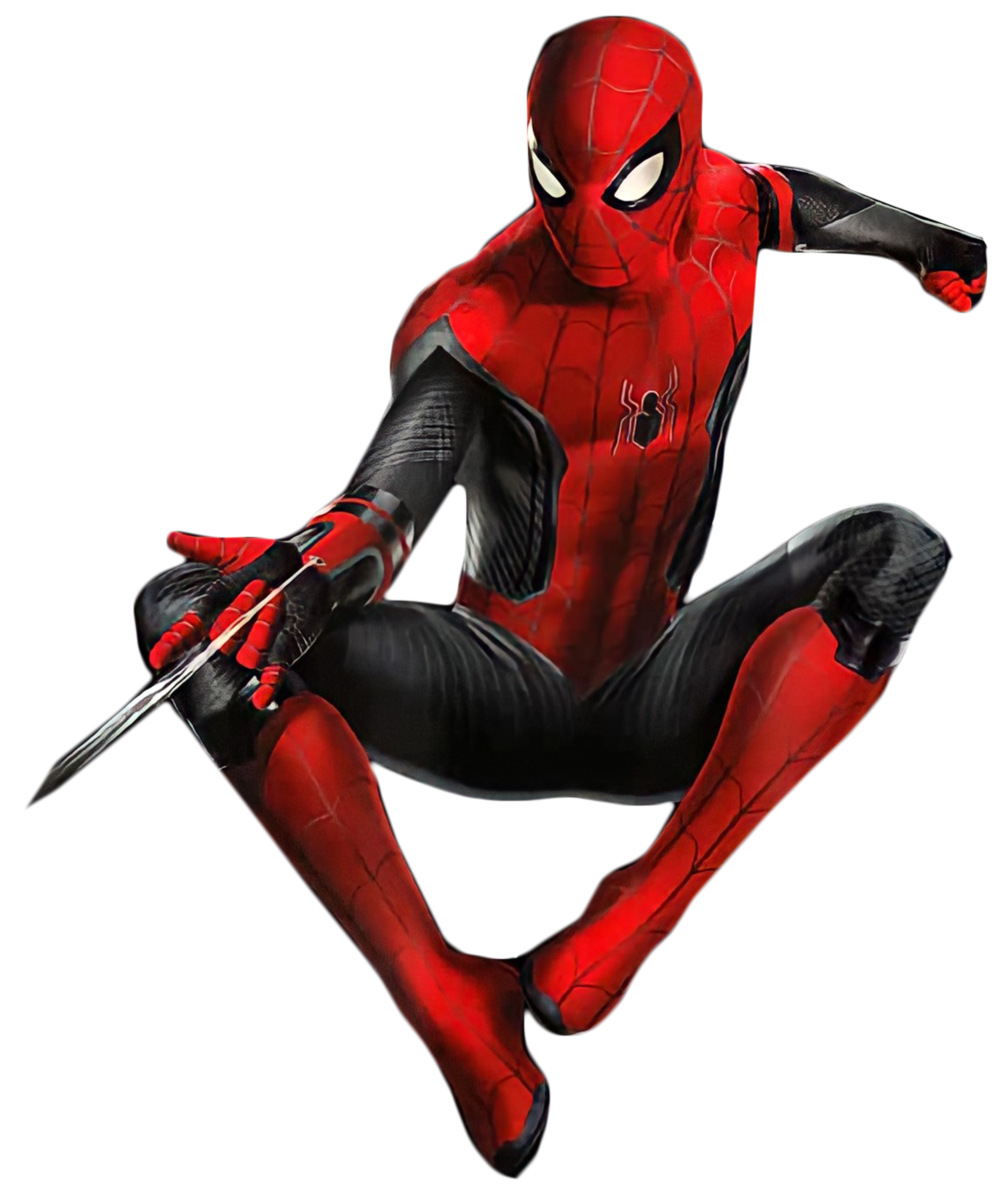 Detail Spider Man Back View Nomer 25