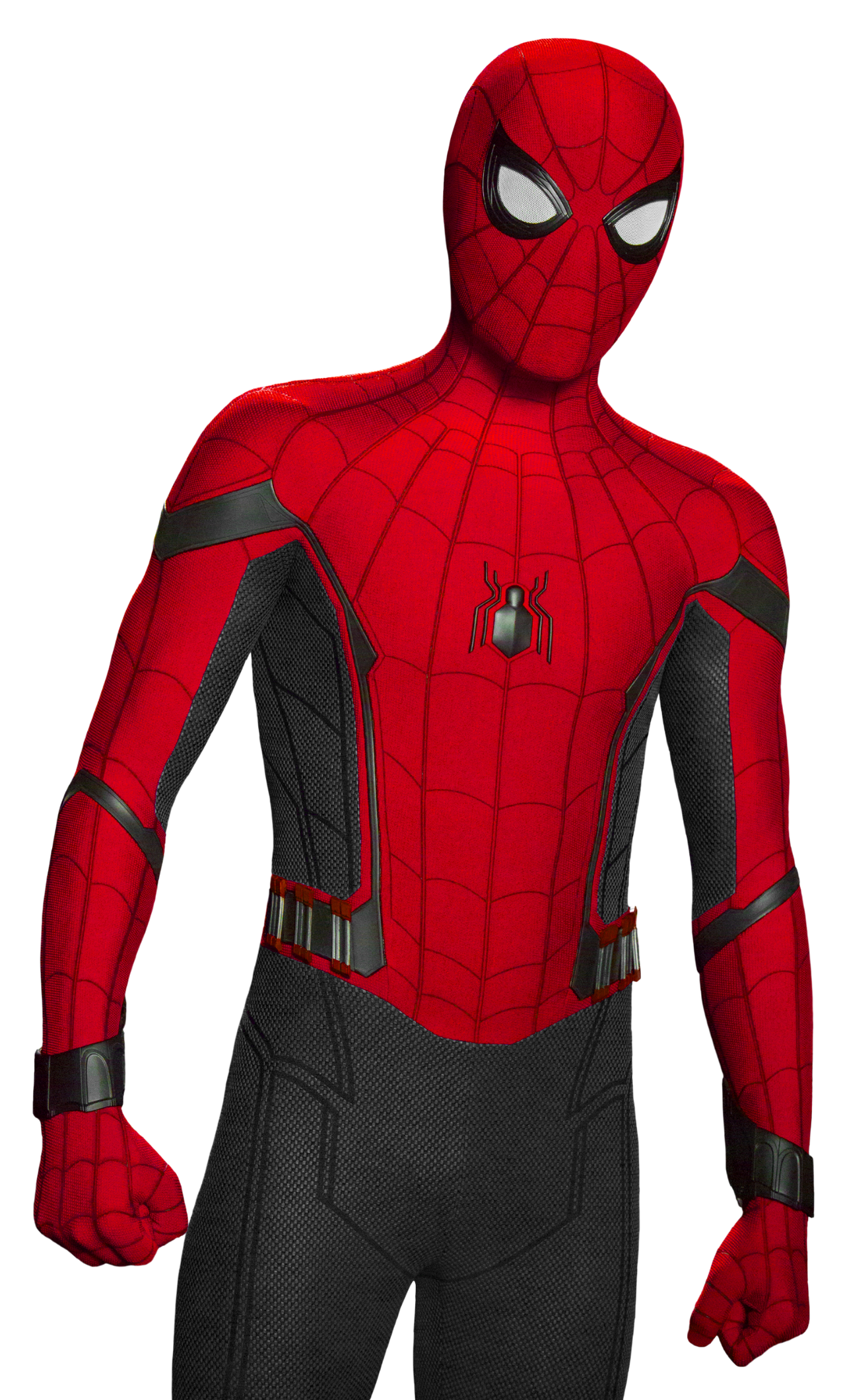 Detail Spider Man Back View Nomer 5