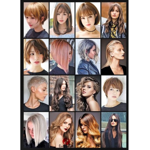 Detail Poster Salon Rambut Wanita Nomer 32