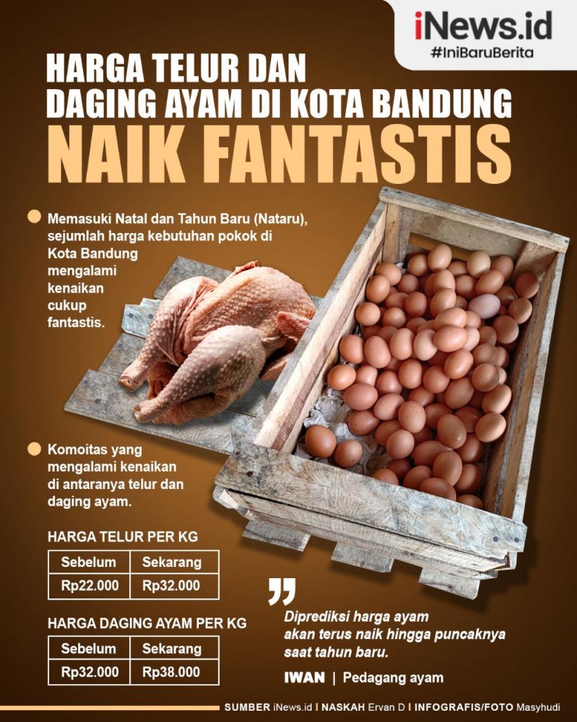 Detail Poster Telur Ayam Nomer 17