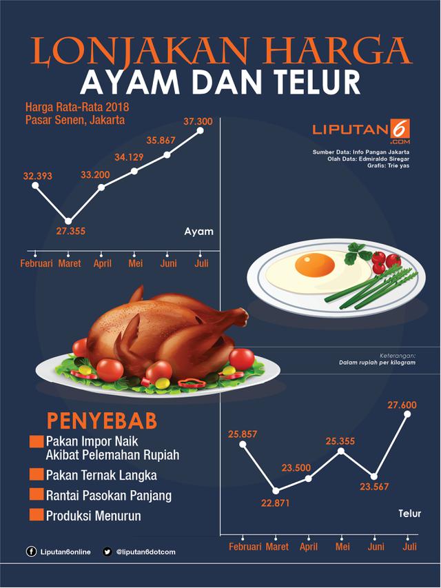 Detail Poster Telur Ayam Nomer 21