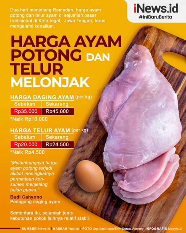 Detail Poster Telur Ayam Nomer 38