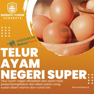 Detail Poster Telur Ayam Nomer 7