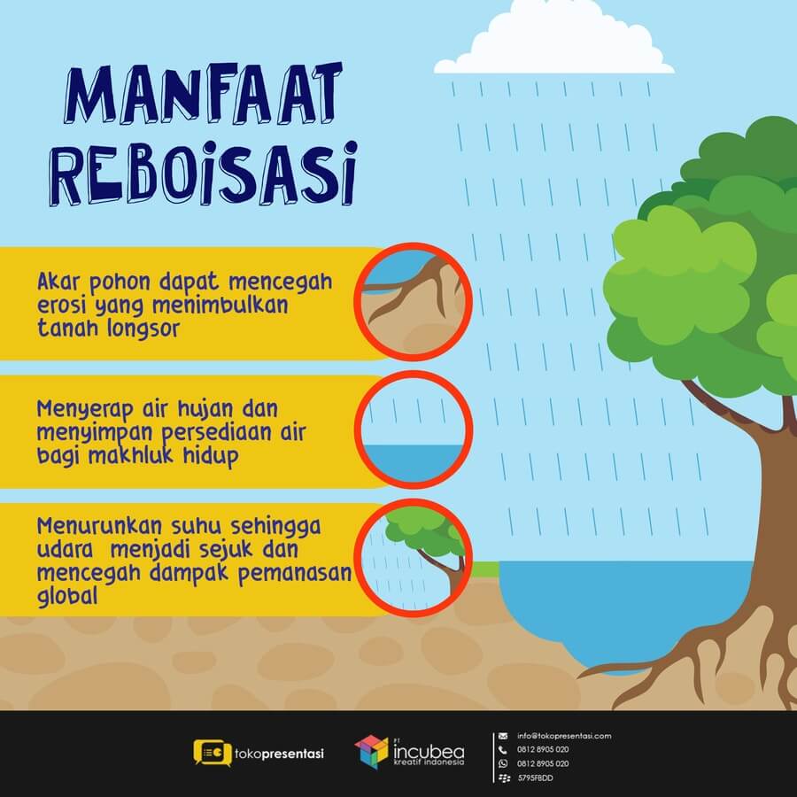 Poster Tentang Reboisasi - KibrisPDR