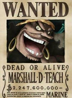 Detail Poster Wanted One Piece Hd Nomer 38