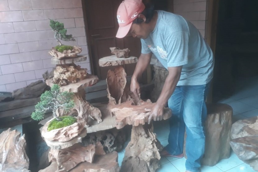 Detail Pot Bonsai Dari Kayu Nomer 7