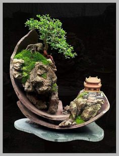 Detail Pot Bonsai Penjing Nomer 10