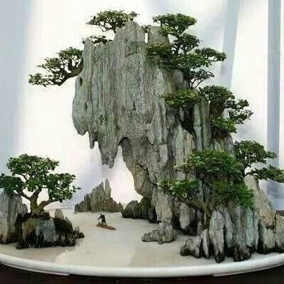 Detail Pot Bonsai Penjing Nomer 3