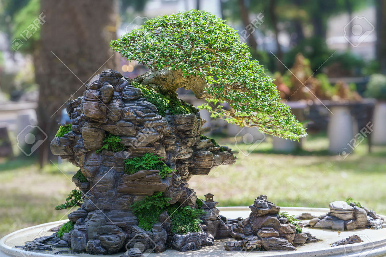 Detail Pot Bonsai Penjing Nomer 40