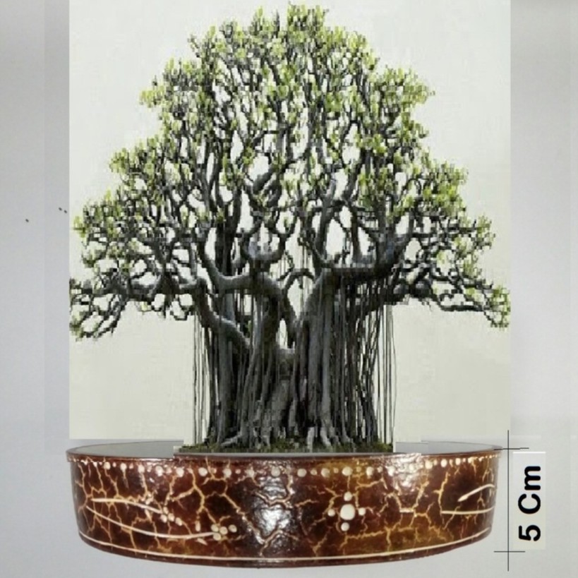 Detail Pot Bonsai Unik Nomer 19