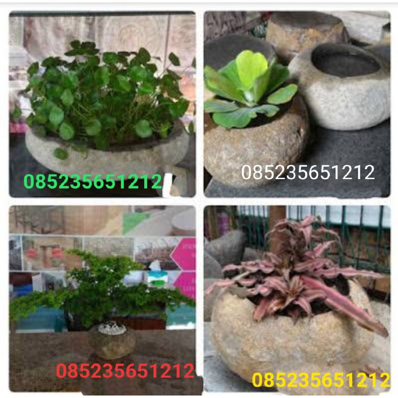 Detail Pot Bunga Batu Alam Minimalis Nomer 17