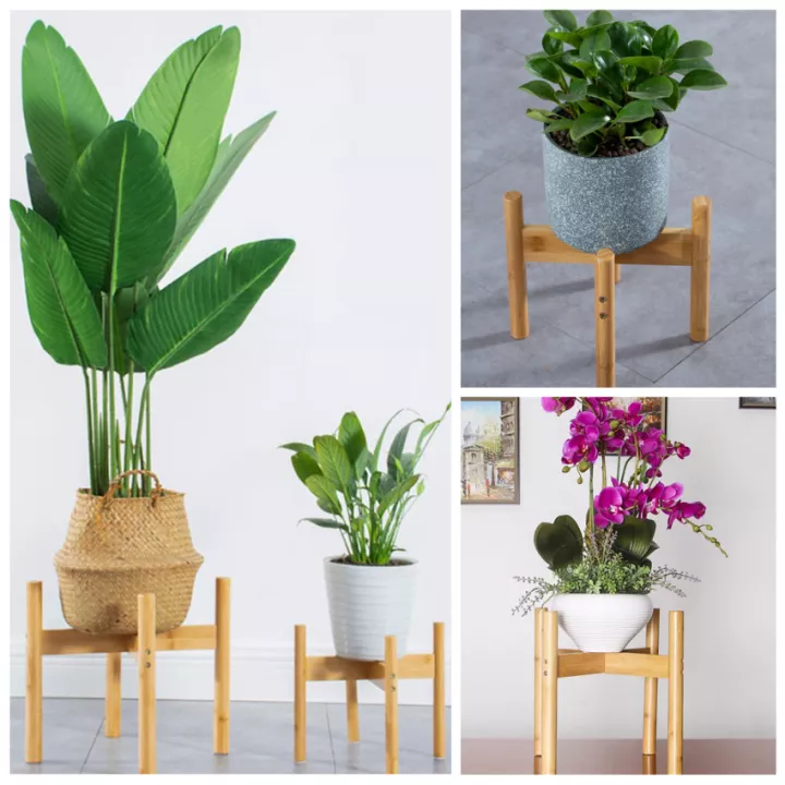 Detail Pot Bunga Dalam Ruangan Nomer 46