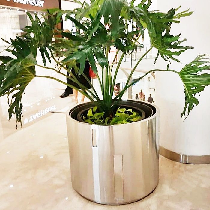 Detail Pot Bunga Dalam Ruangan Nomer 50