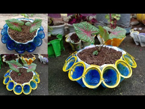 Detail Pot Bunga Dari Gelas Plastik Nomer 3