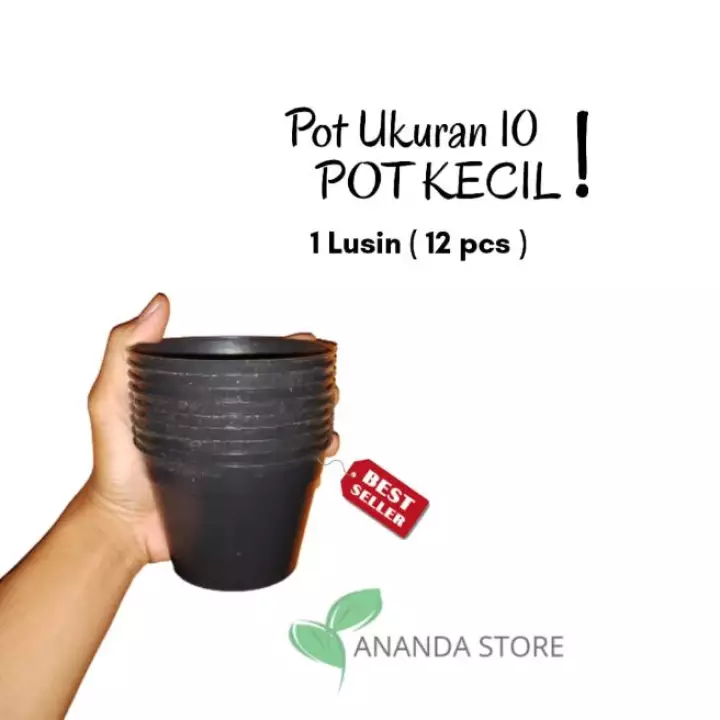 Detail Pot Bunga Kecil Nomer 15