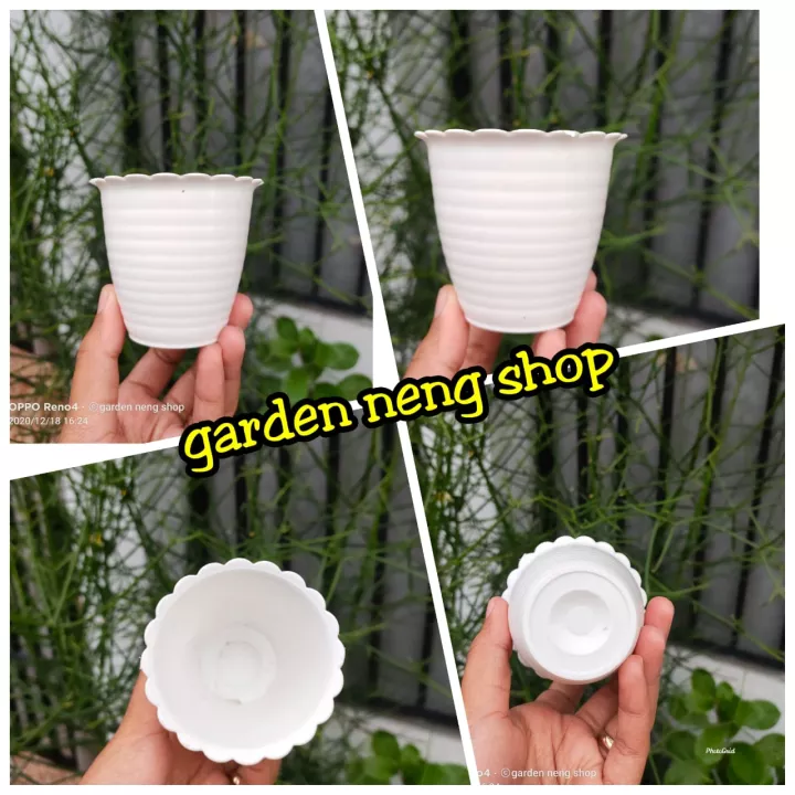 Detail Pot Bunga Kecil Nomer 20