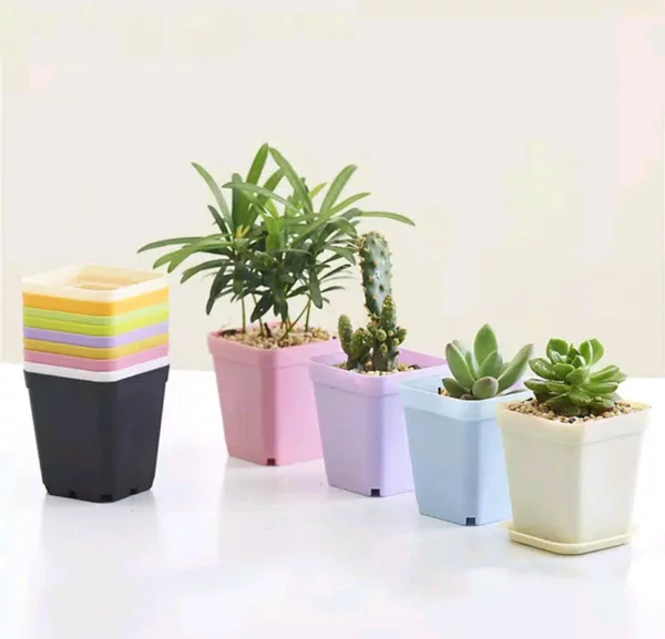 Detail Pot Bunga Kecil Nomer 46