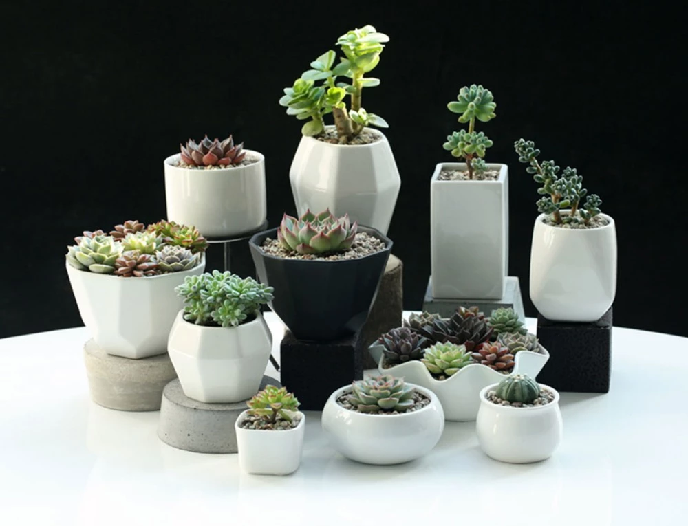 Detail Pot Bunga Keramik Putih Nomer 56