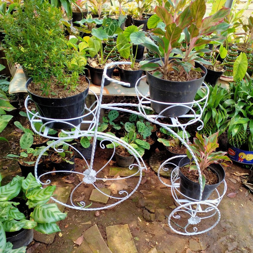 Detail Pot Bunga Sepeda Nomer 53