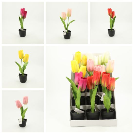 Detail Pot Bunga Tulip Nomer 12