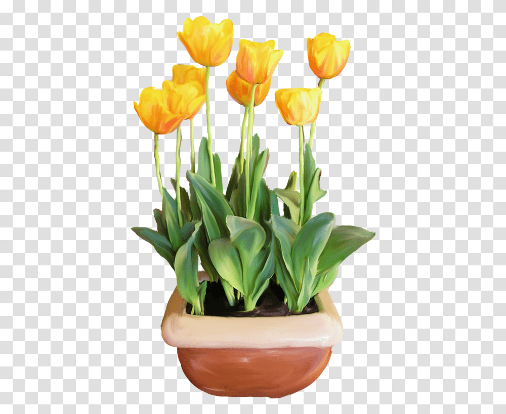 Detail Pot Bunga Tulip Nomer 15