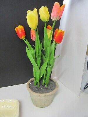 Detail Pot Bunga Tulip Nomer 3