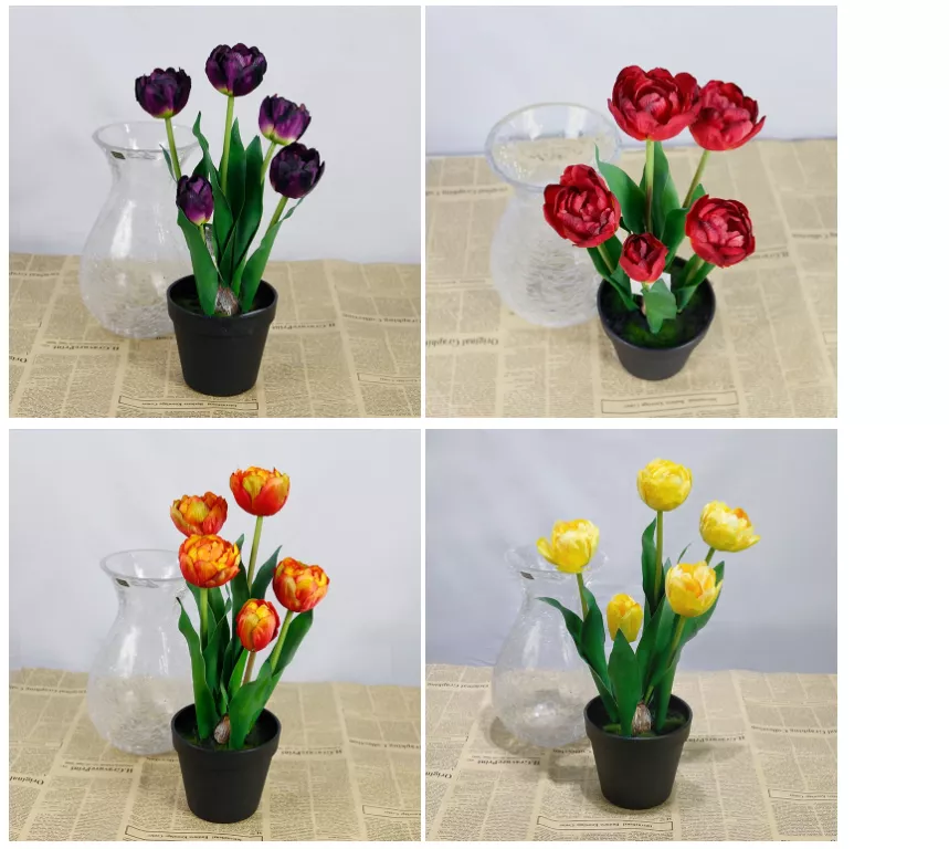 Detail Pot Bunga Tulip Nomer 24