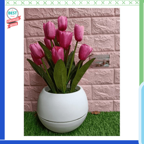 Detail Pot Bunga Tulip Nomer 45