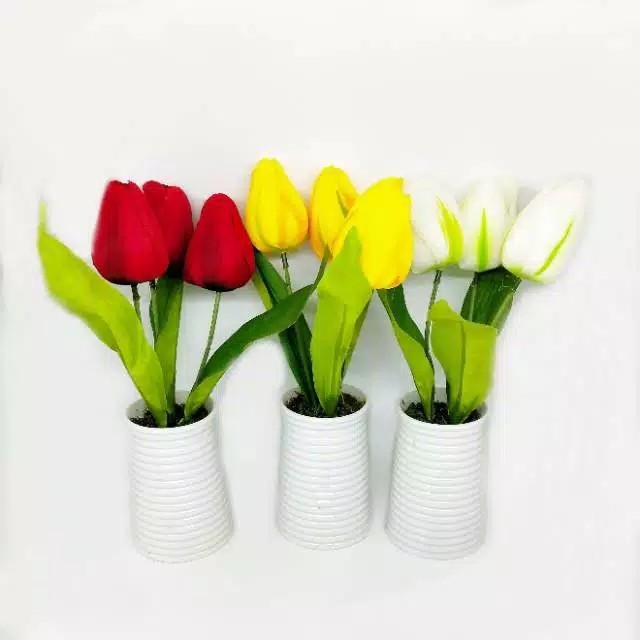 Detail Pot Bunga Tulip Nomer 52