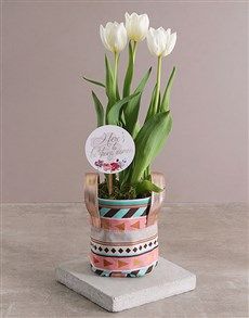 Detail Pot Bunga Tulip Nomer 53