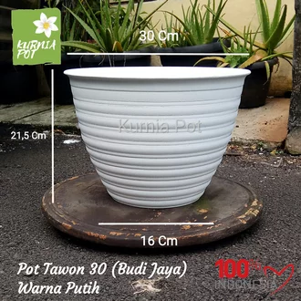 Detail Pot Bunga Warna Putih Nomer 43