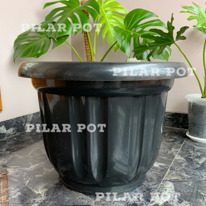 Detail Pot Dan Bunga Nomer 2