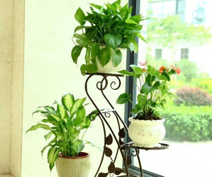 Detail Pot Dan Bunga Nomer 10