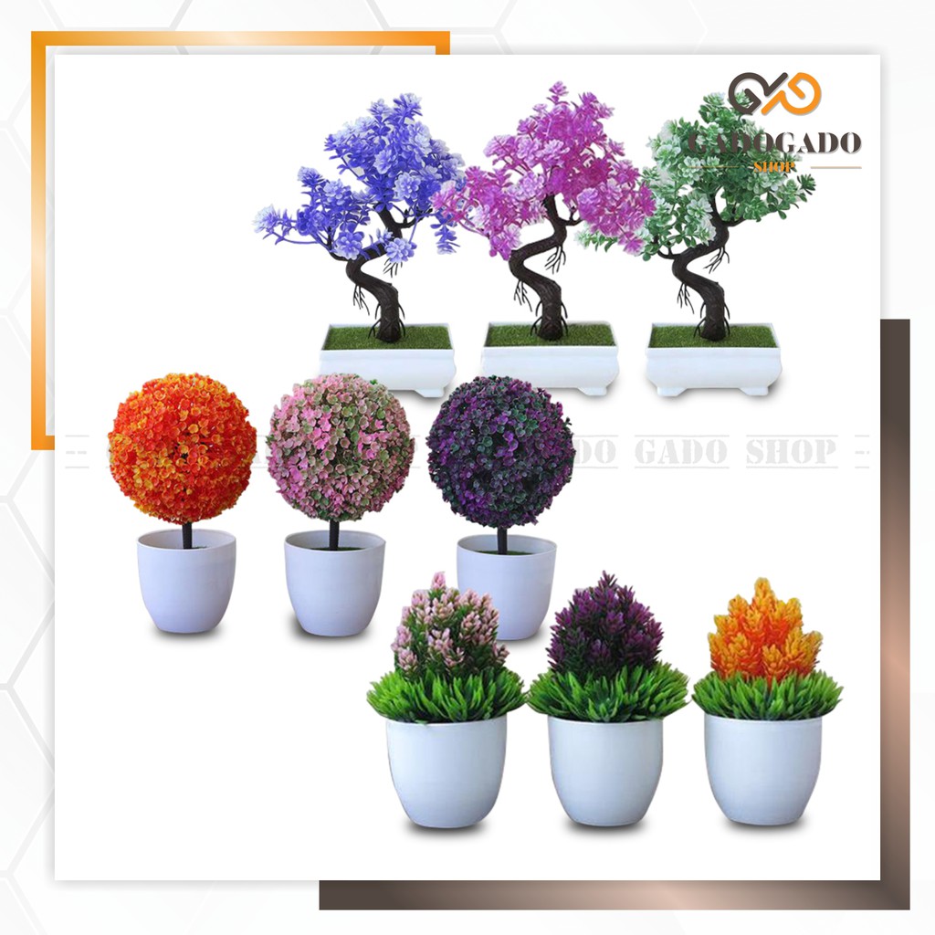 Detail Pot Dan Bunga Nomer 30
