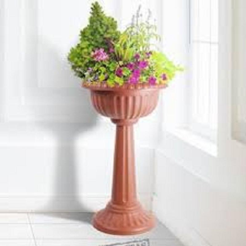 Detail Pot Dan Bunga Nomer 35