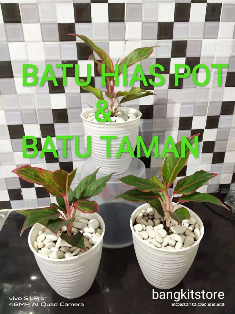 Detail Pot Dari Batu Nomer 22