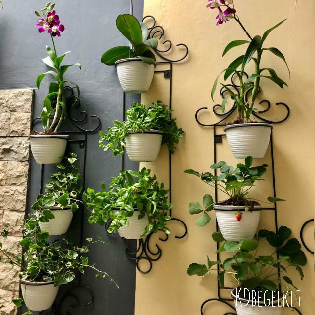 Pot Dinding Minimalis - KibrisPDR