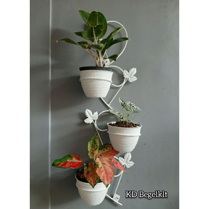 Detail Pot Dinding Minimalis Nomer 2