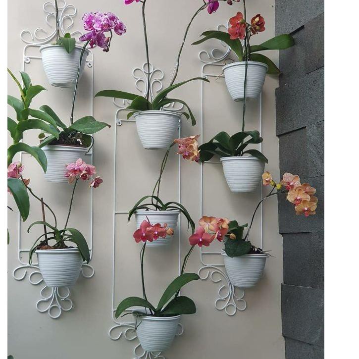 Detail Pot Dinding Minimalis Nomer 10