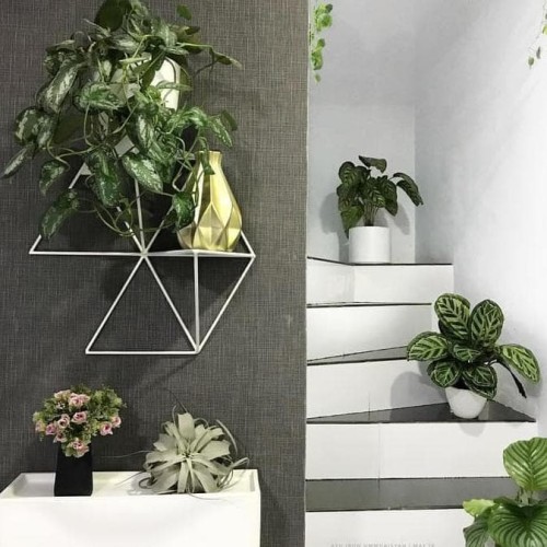 Detail Pot Dinding Minimalis Nomer 16