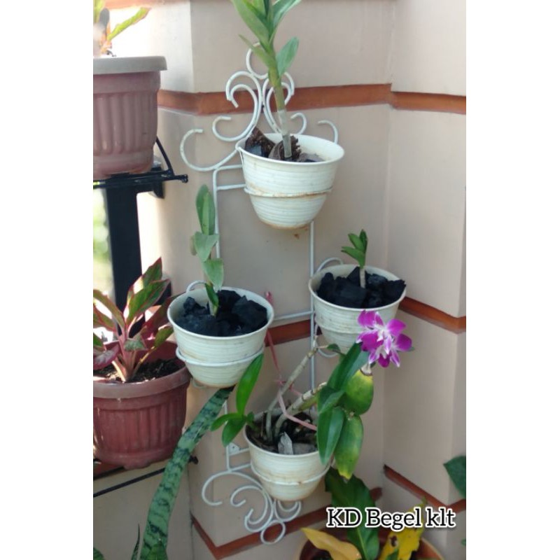 Detail Pot Dinding Minimalis Nomer 33