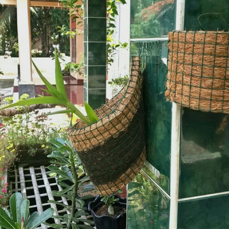 Detail Pot Dinding Unik Nomer 50